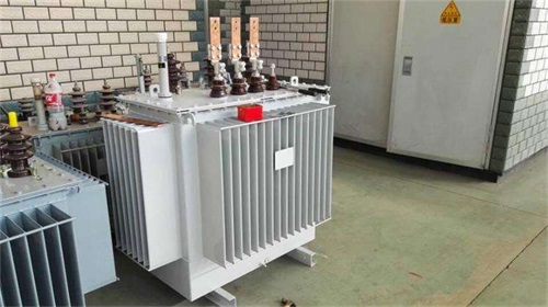 郴州S11-100KVA/10KV/0.4KV油浸式变压器